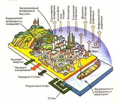 Реферат: Экологическая ситуация в городе Тольятти